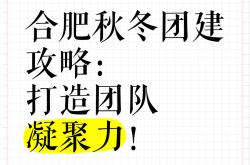团队凝聚力打破记录，夺得冠军宝座的简单介绍