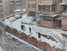 球盟会平台-辽宁男篮签下新大外援