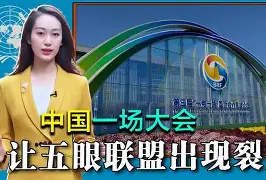 世界杯足球赛经过紧张角逐