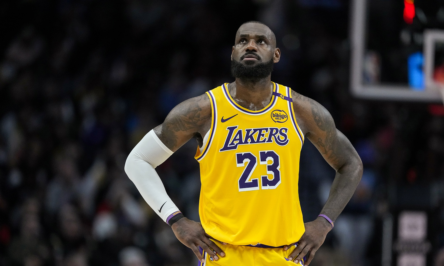 詹姆斯带领美国队成绩